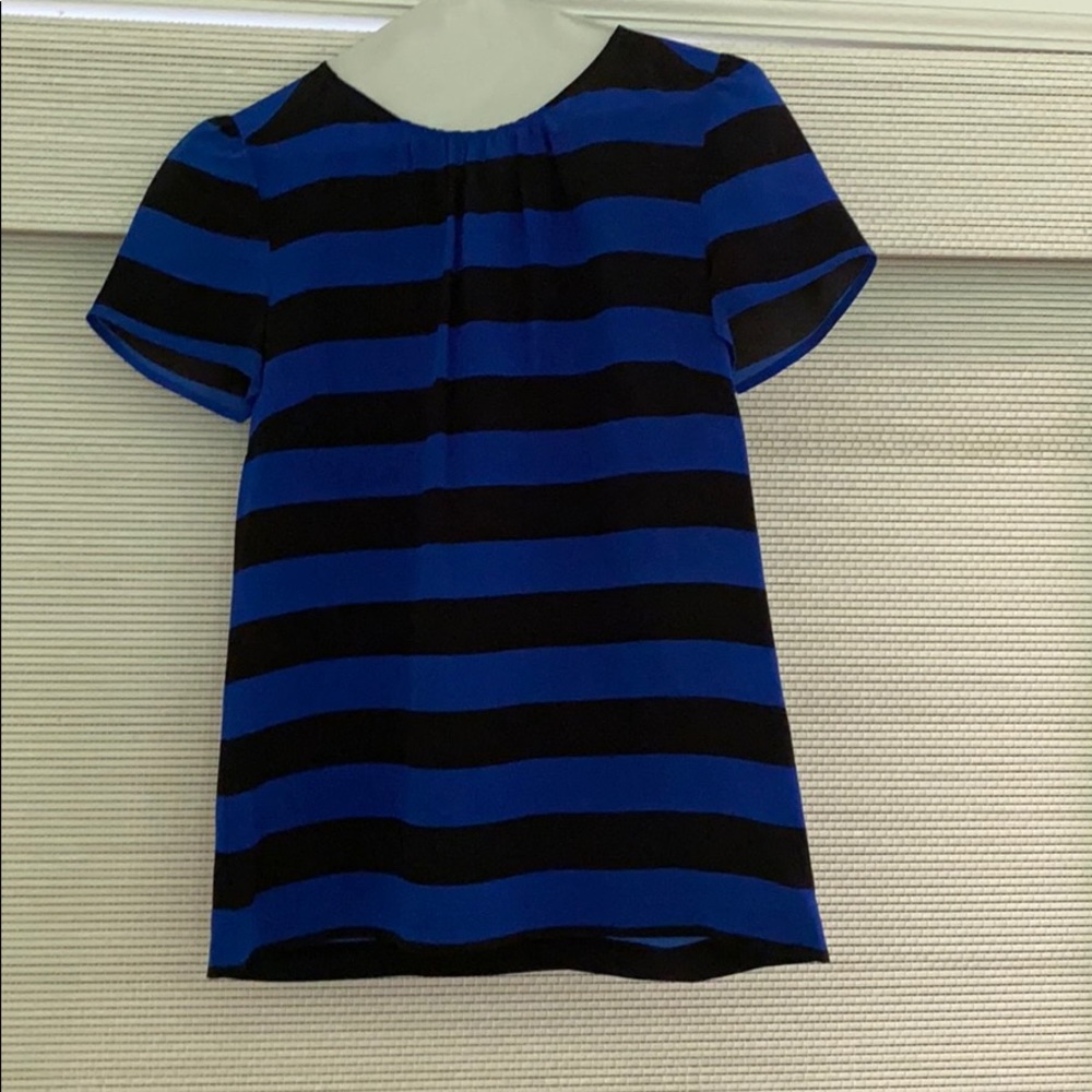 Black and blue striped blouse.